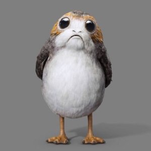 Porg