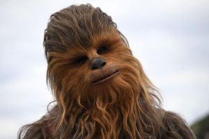 Chewbacca.jpg