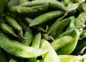 close up photo of pea pods