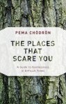 The Places That Scare You by Pema Chodron